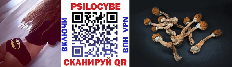 блэк спрут ТОР  Печора  Галлюциногенные грибы мухоморы  где купить наркоту 